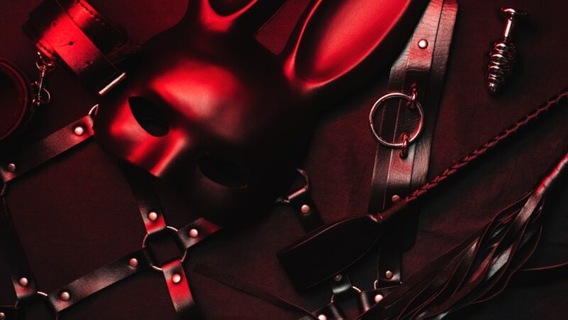 O que é BDSM? Entenda o significado, os princípios e como funciona